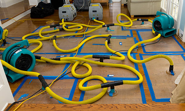 Professional Crawl Space Water Removal technician working in Aurora, OR